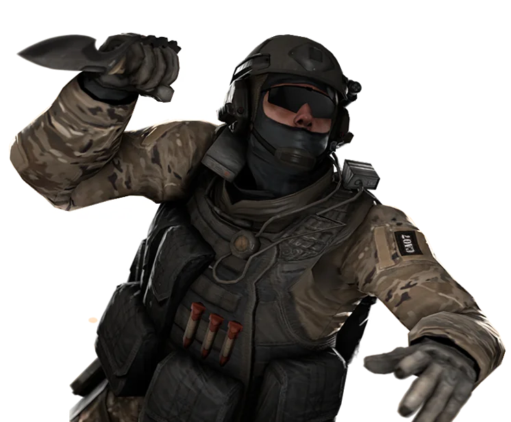 Pro Counter-Strike player
